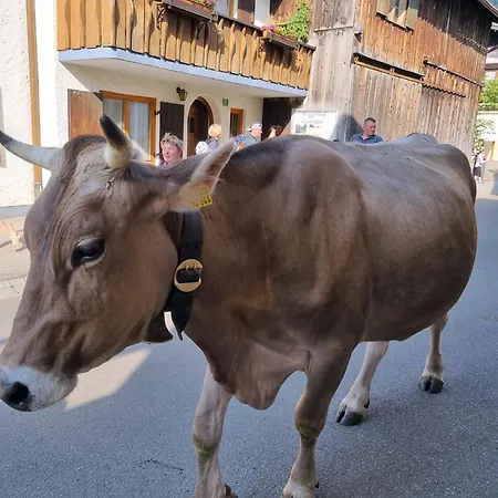Apartman Alpenglueck Mit Schwimmbad Und Sauna -sauna Nicht Im Jul Und Aug *