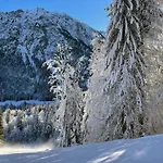 Alpenglück Mit Schwimmbad Und Sauna Apartment Oberstdorf
