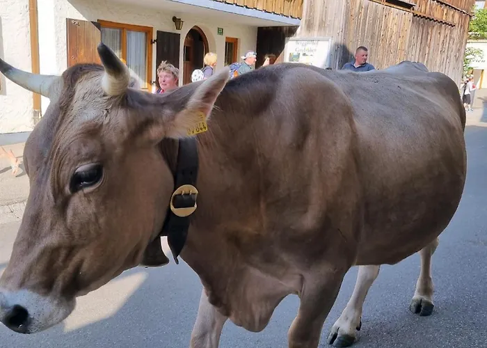 Apartmán Alpenglueck Mit Schwimmbad Und Sauna *