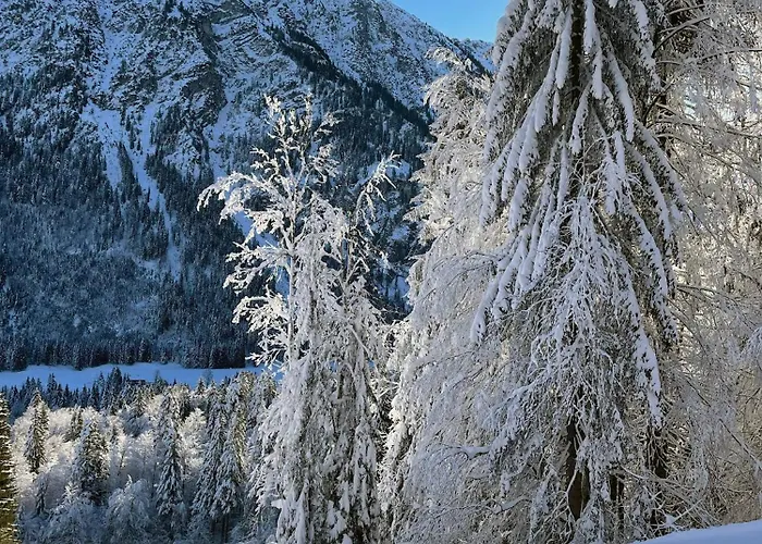 Alpenglueck Mit Schwimmbad Und Sauna Apartmán Oberstdorf
